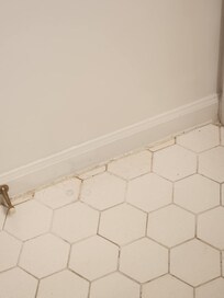 URINE STAIN BEHIND BATHROOM DOOR