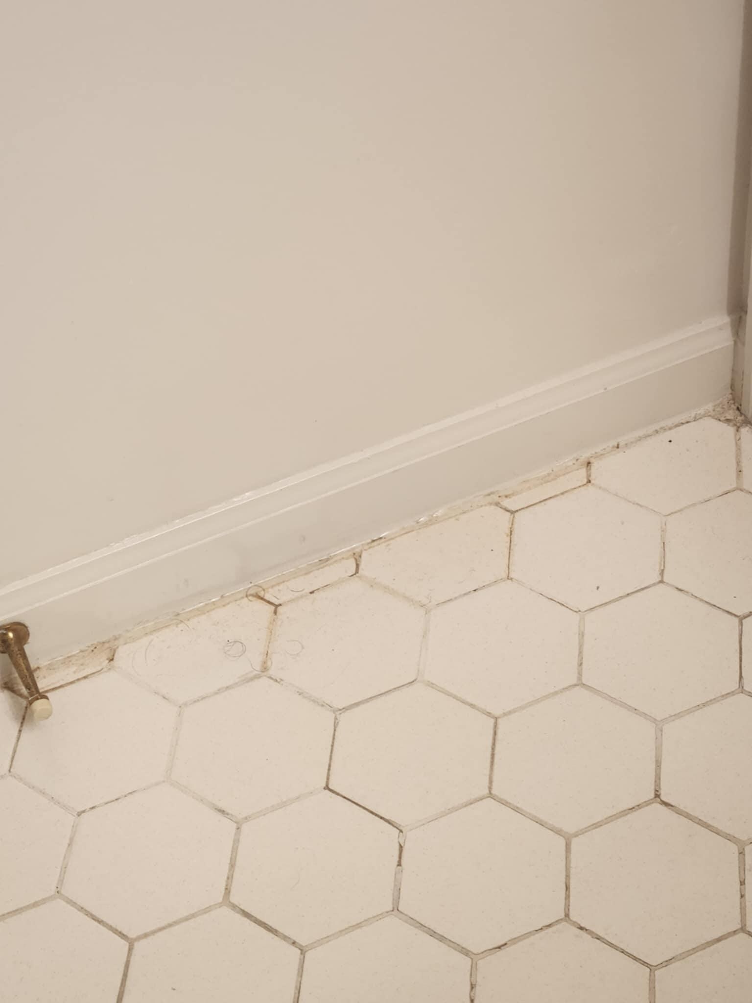 URINE STAIN BEHIND BATHROOM DOOR