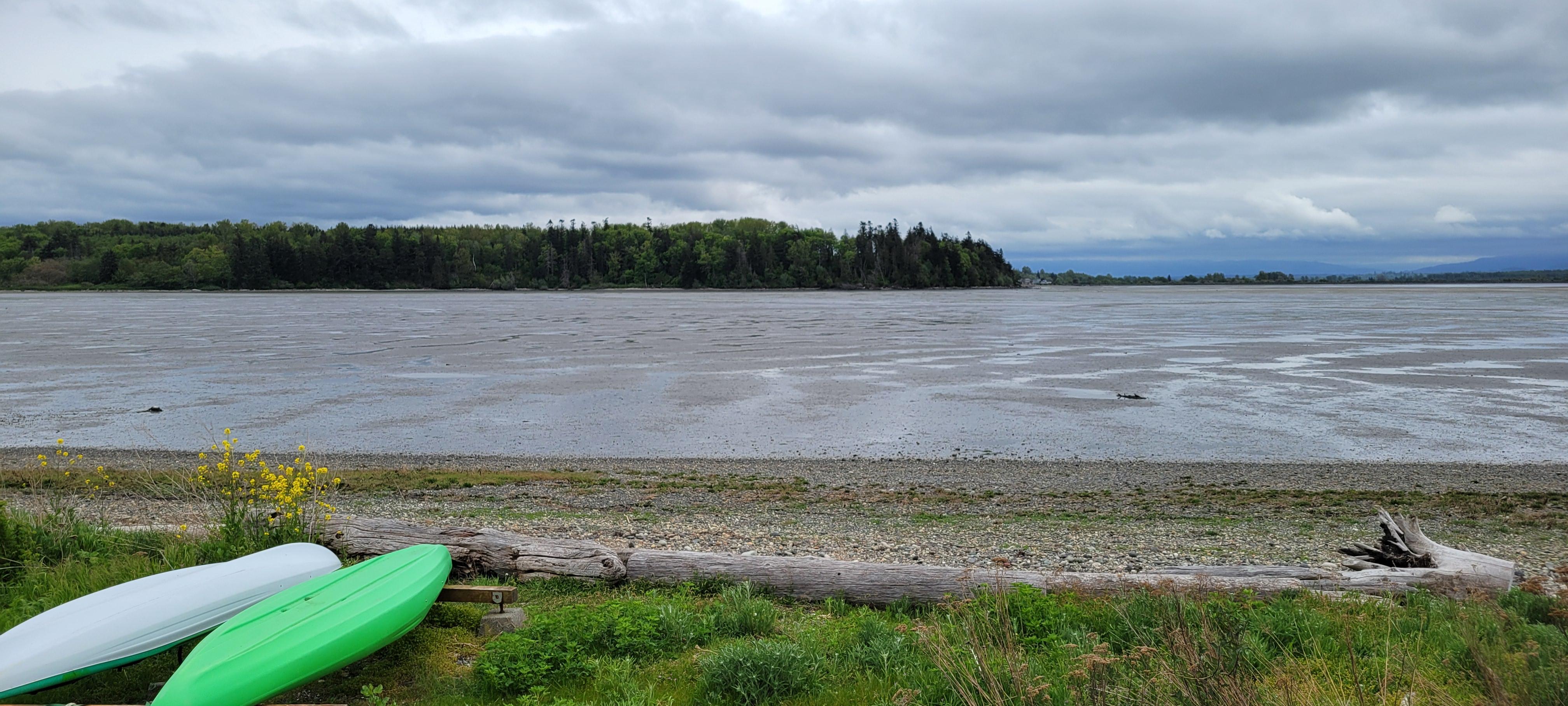 The tide out the whole bay turns into mud.