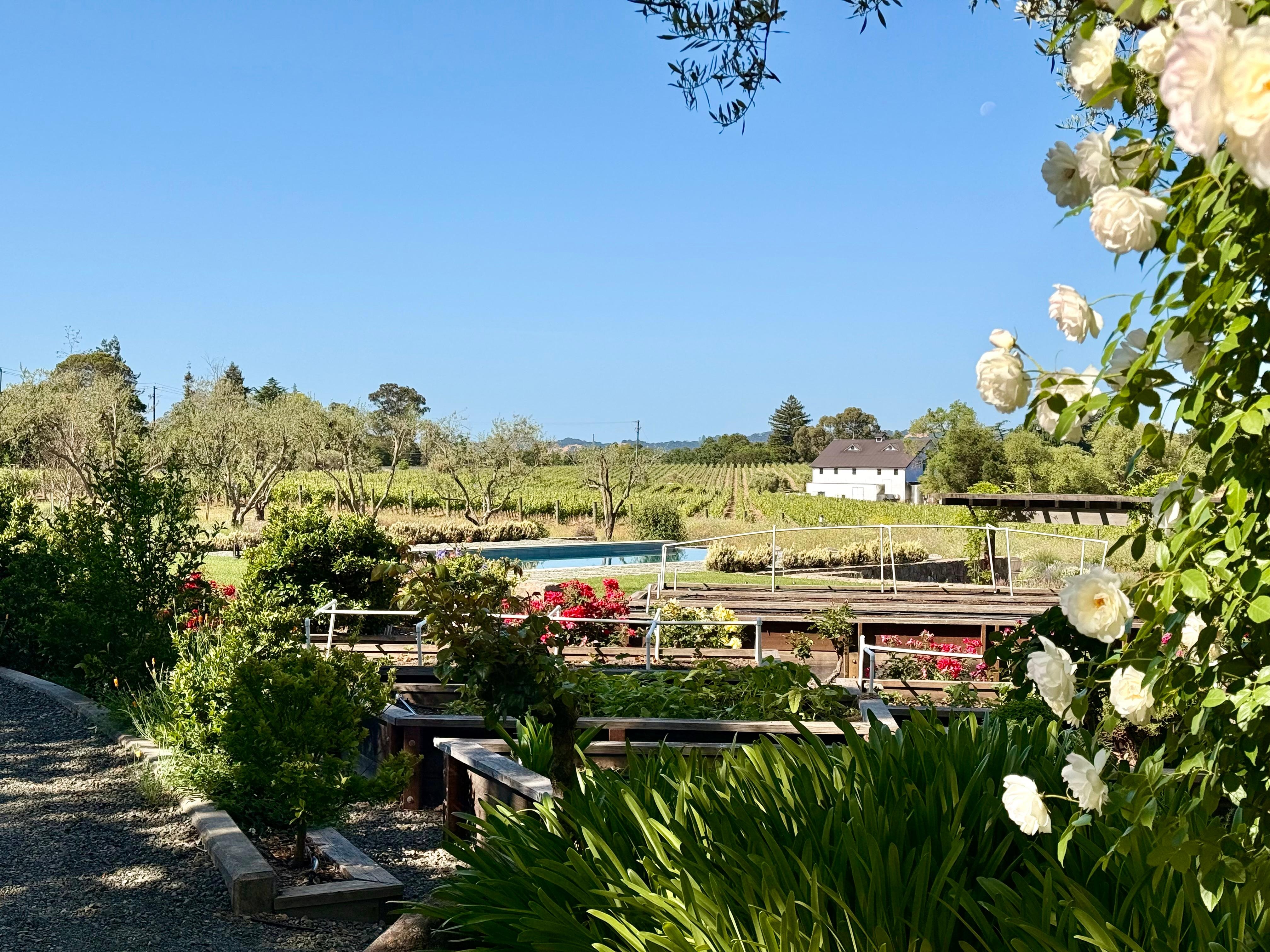 View from guest house