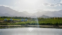 VinĂcola ao seu redor, com Ăłtimas paisagens