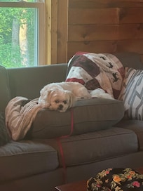 His favorite spot!
