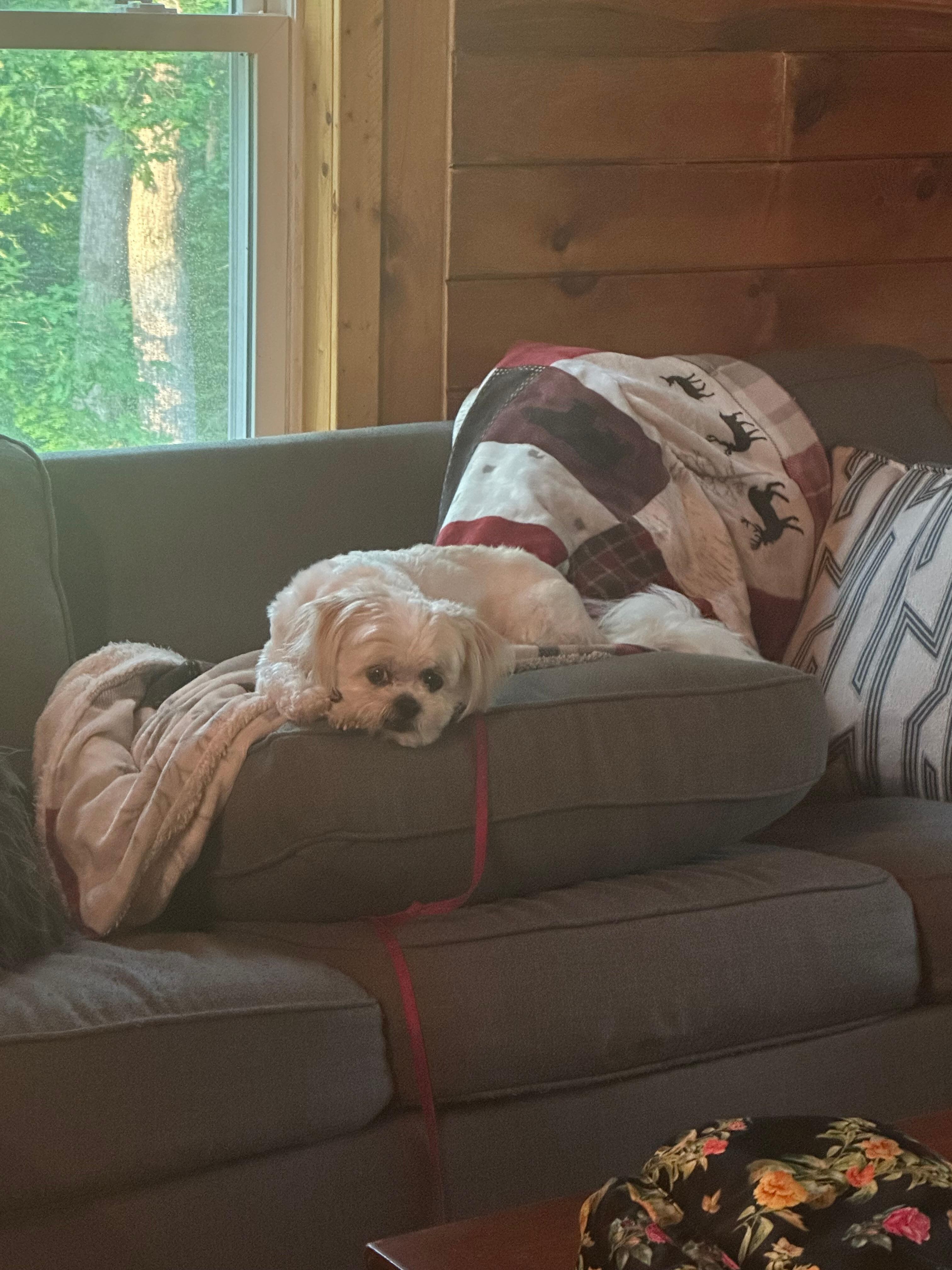 His favorite spot!