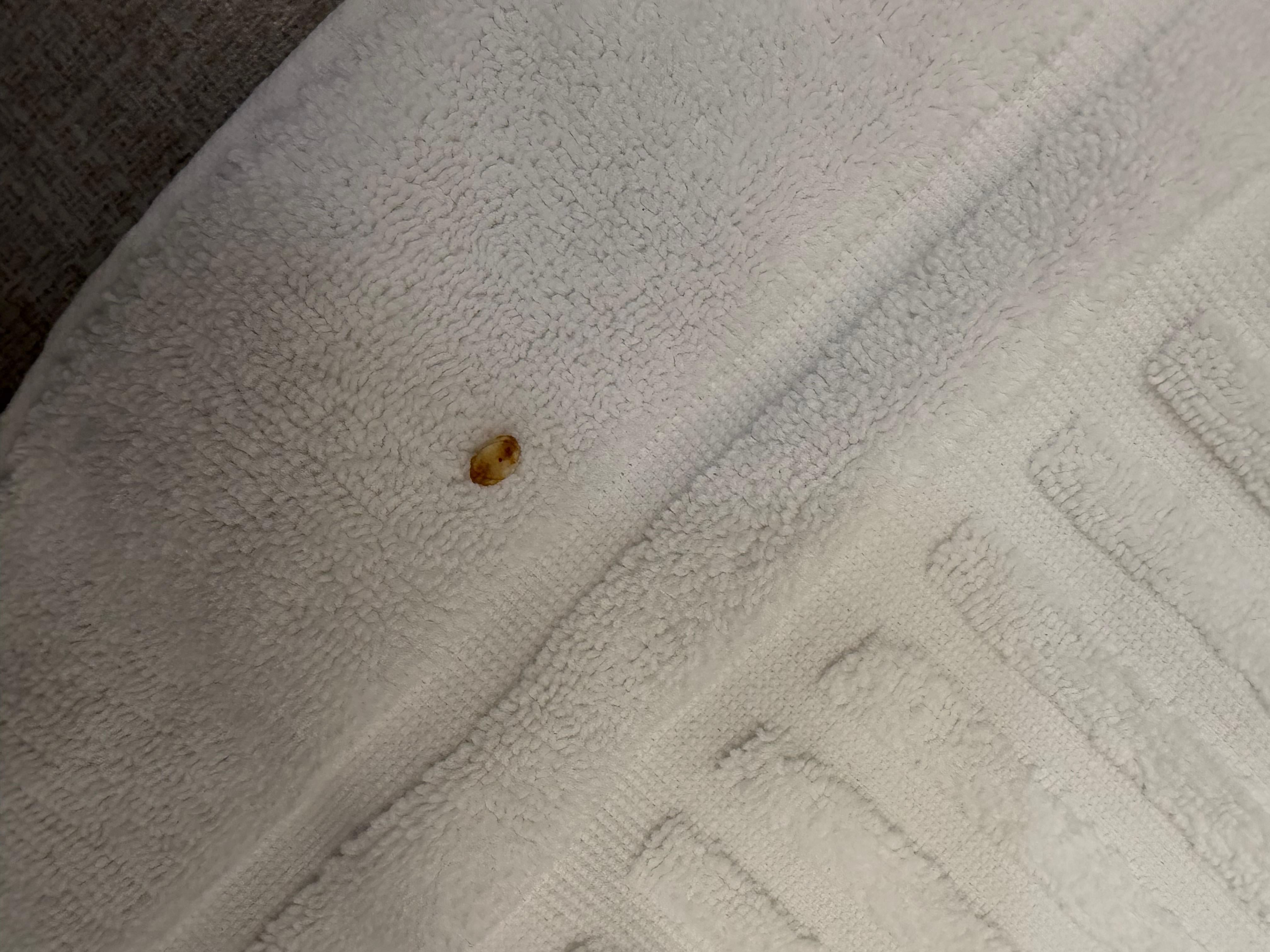 Good on clean towels