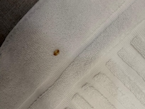 Good on clean towels