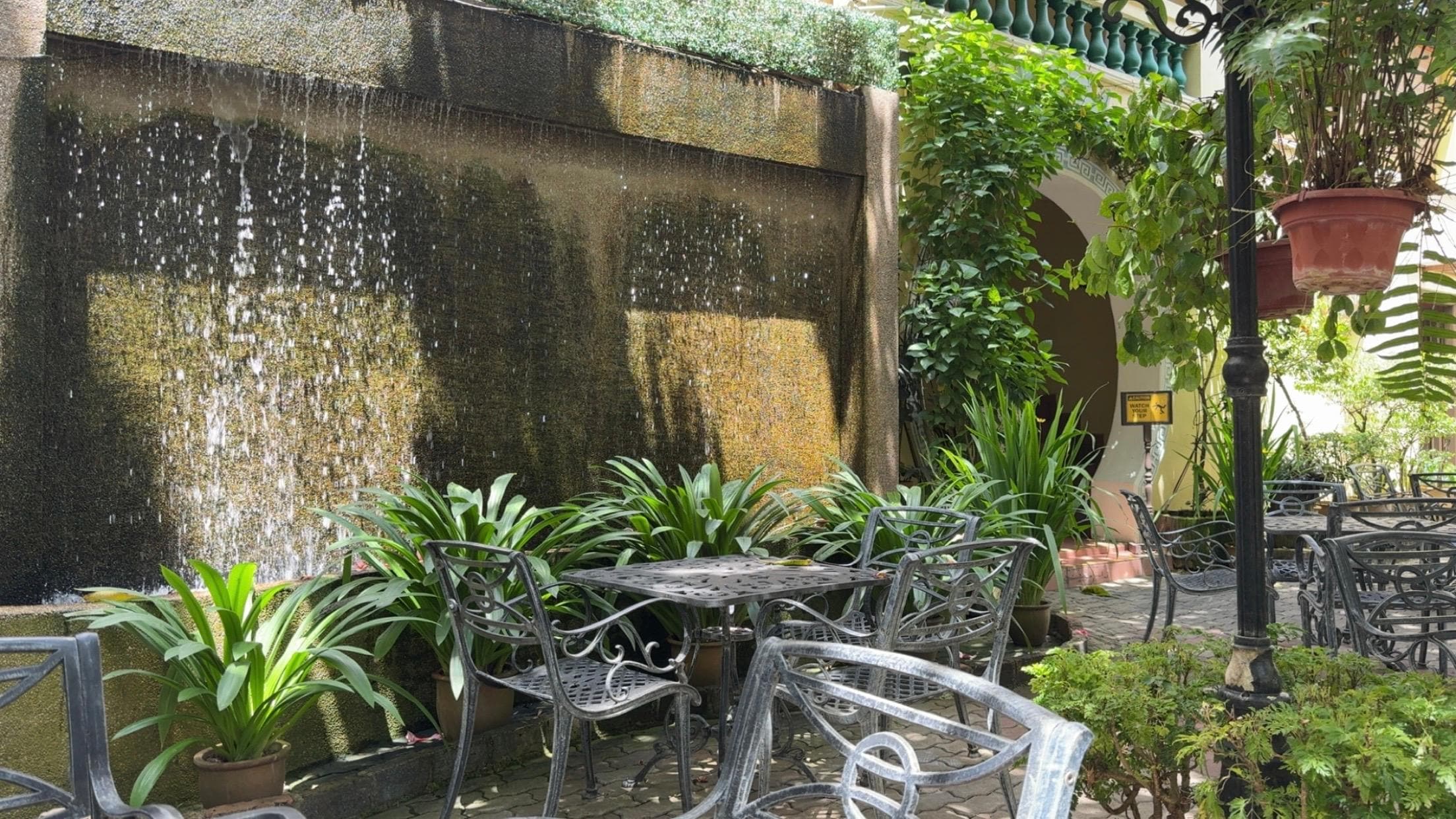The garden 