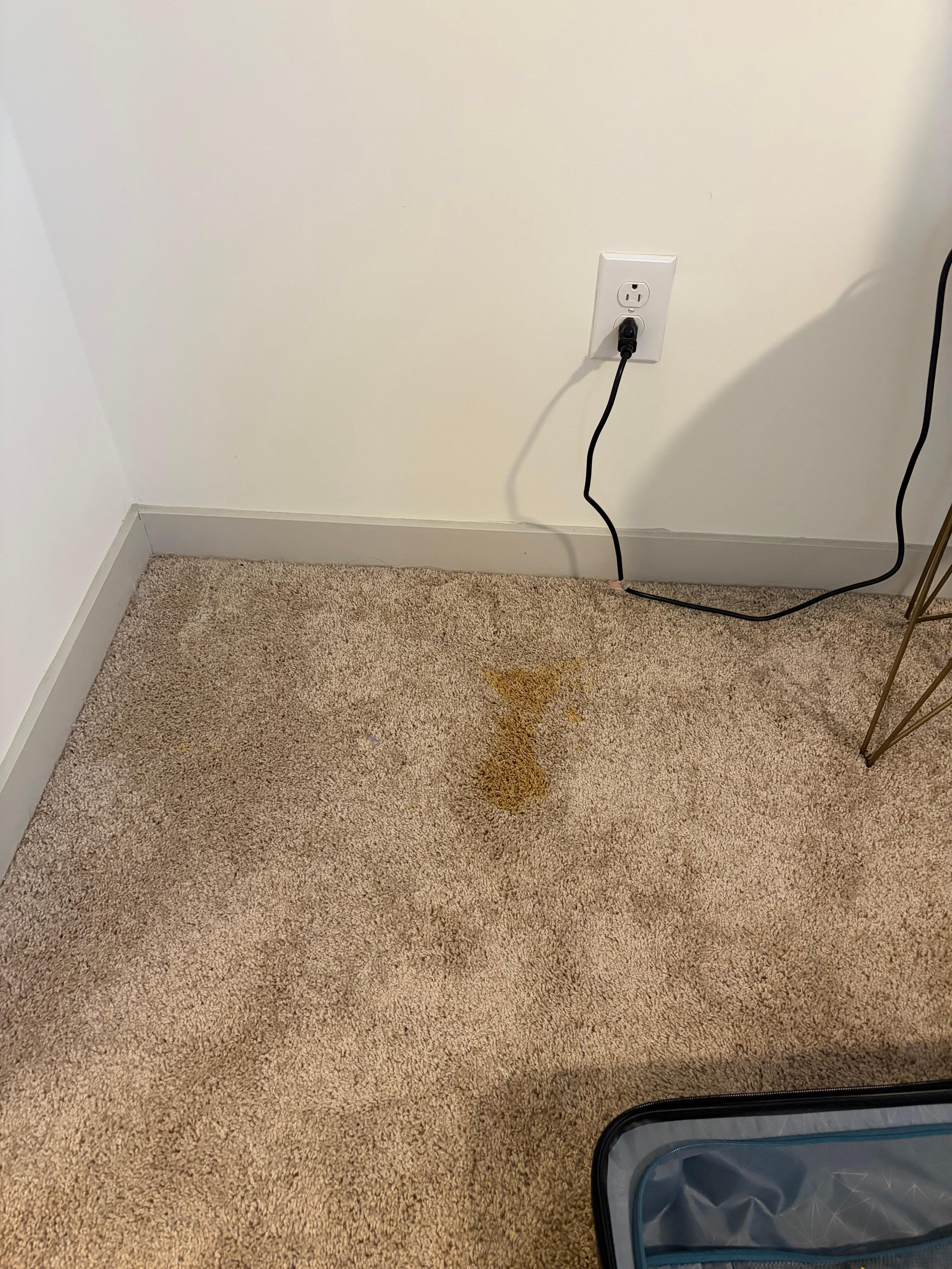 Crusty stain in bedroom