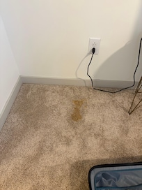 Crusty stain in bedroom