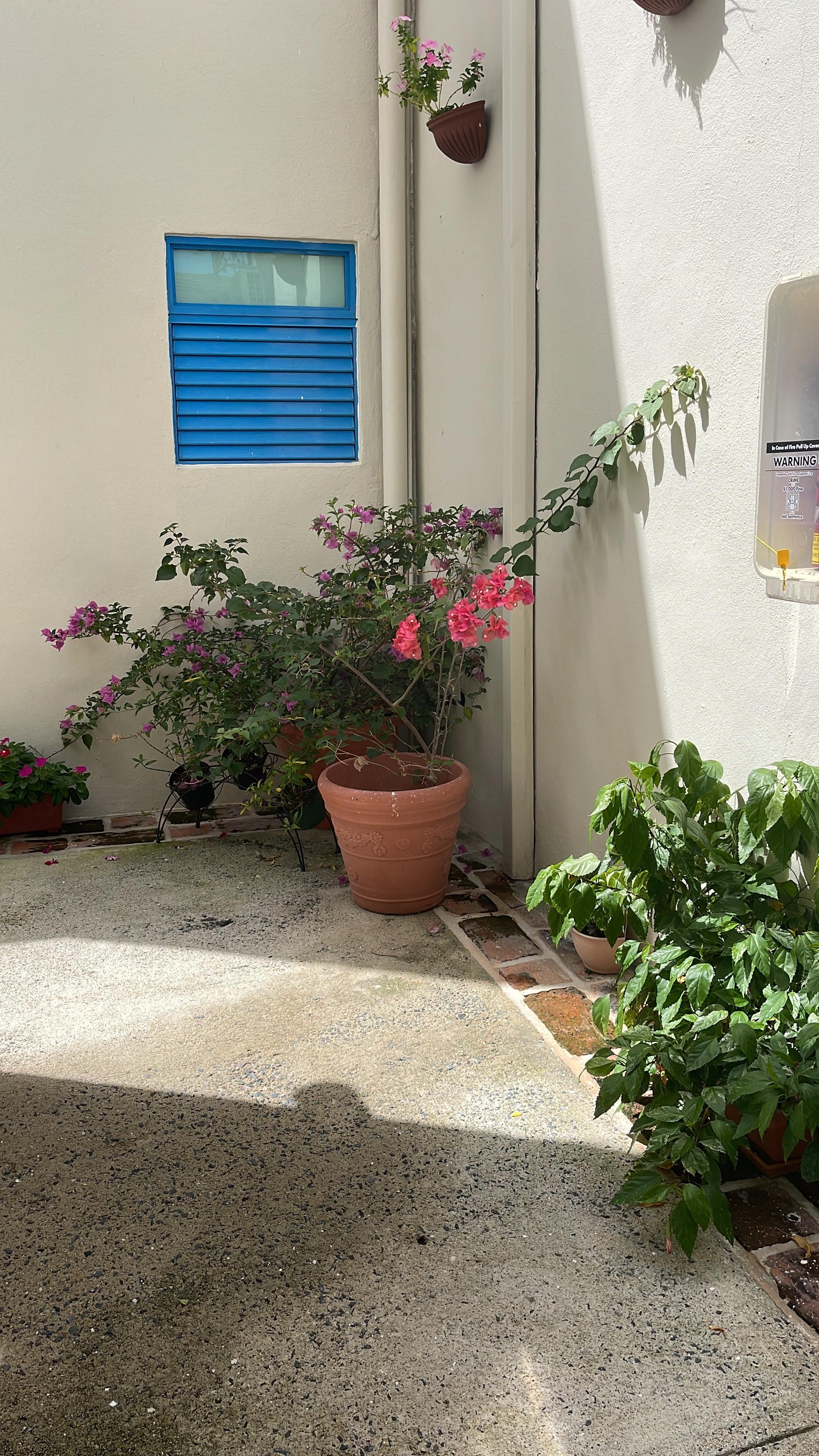 Otra área verde de jardín 