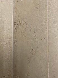 Schimmel auf der Fliese