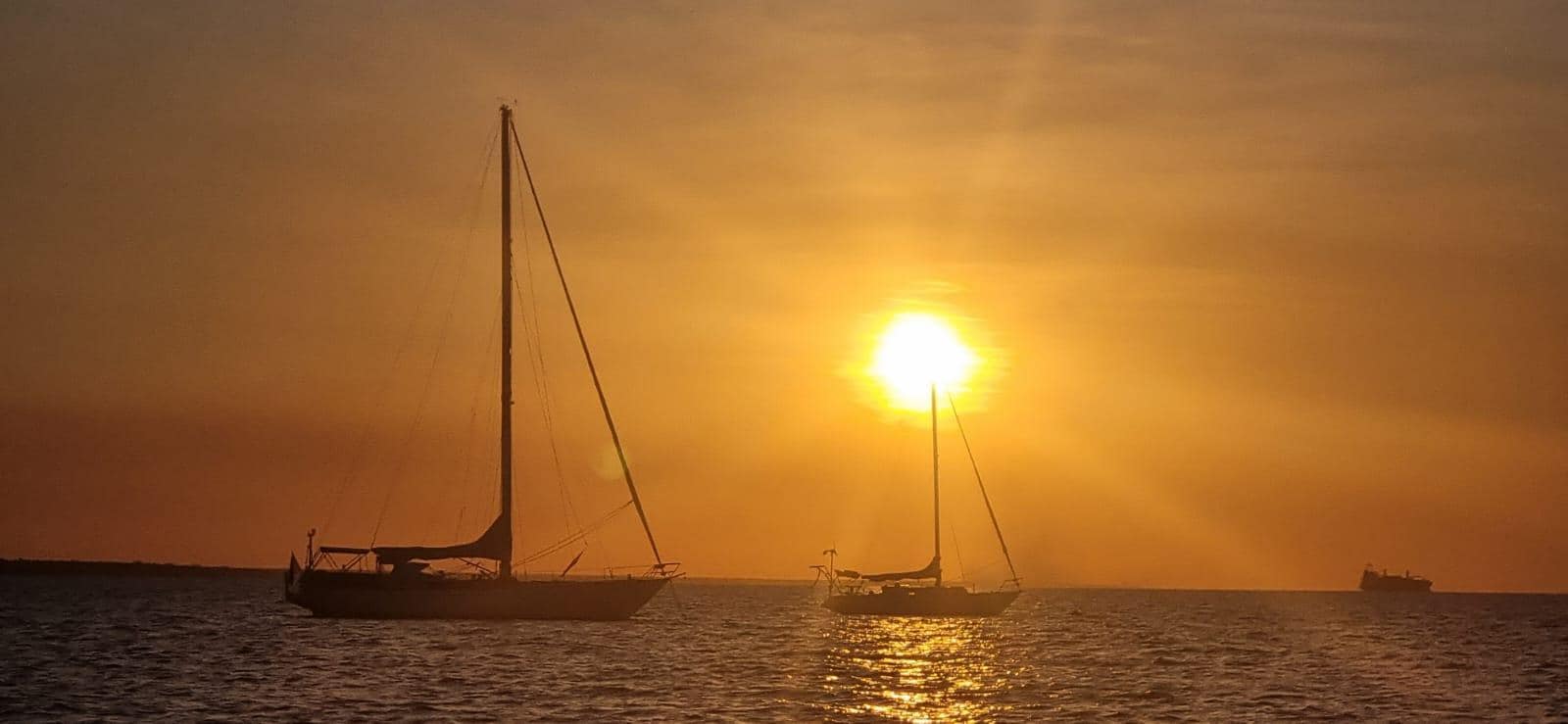 Fishnchips sunset cruise, awesome