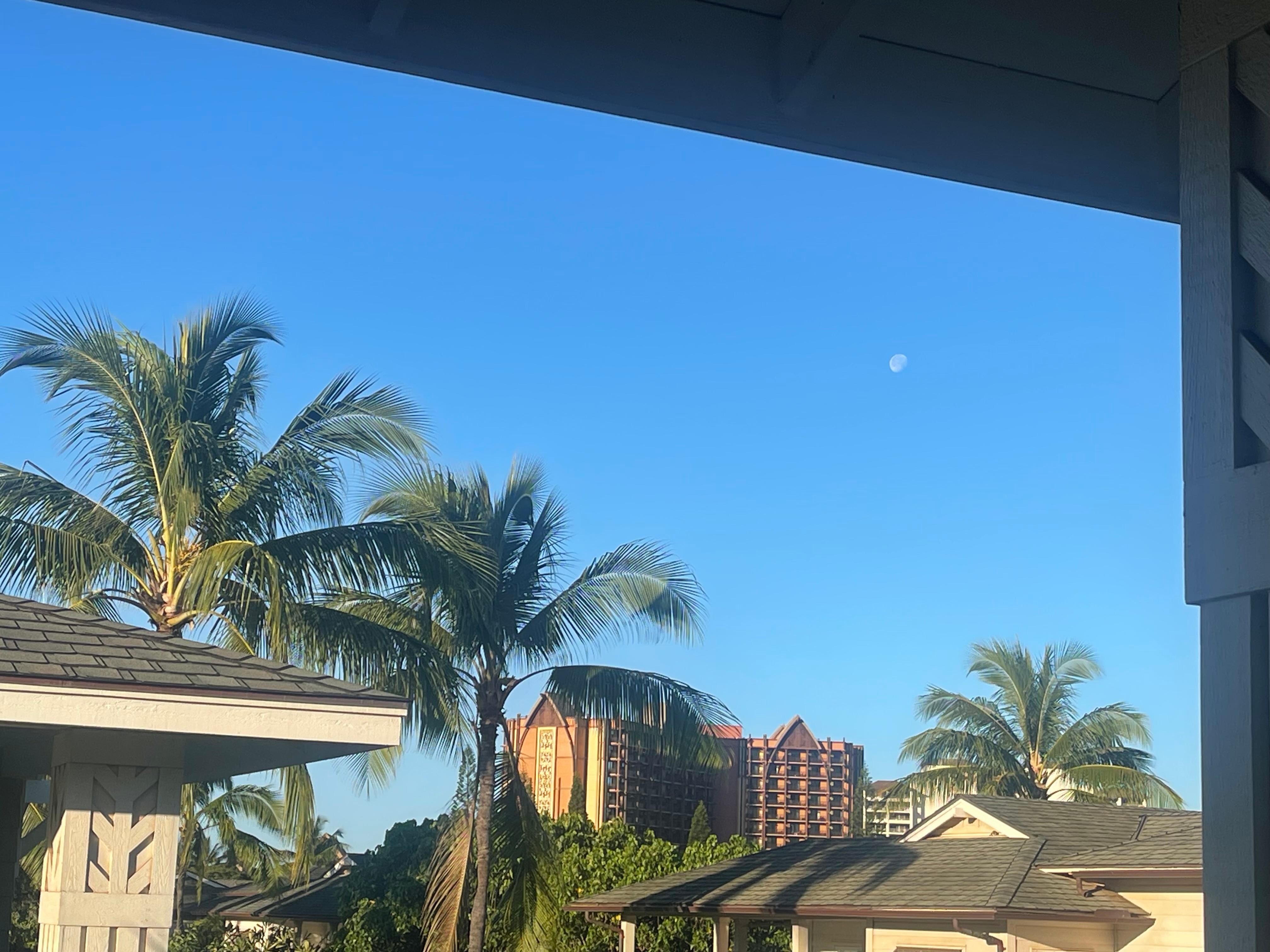 View from our balcony