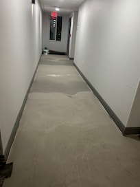No Carpet