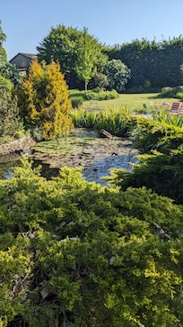 Le parc du gîte