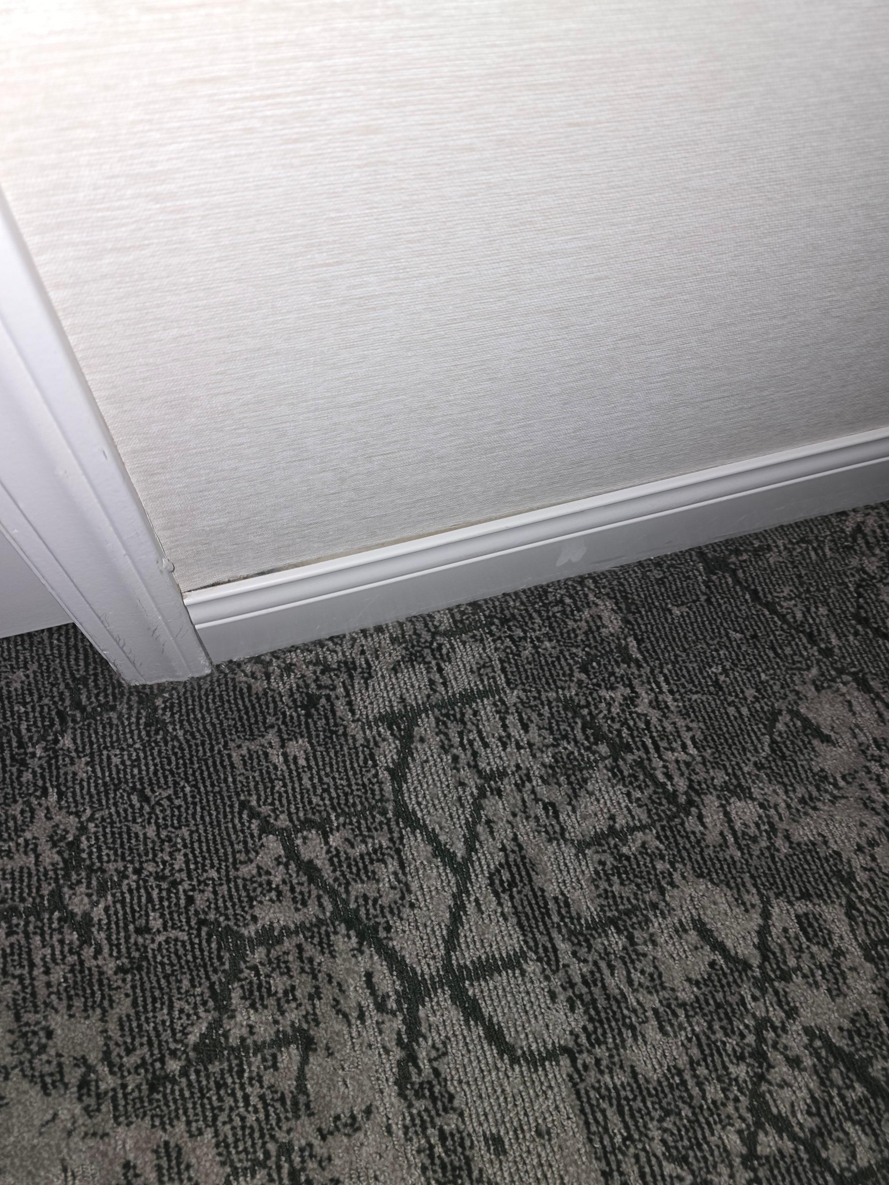 Loose or damaged base board.