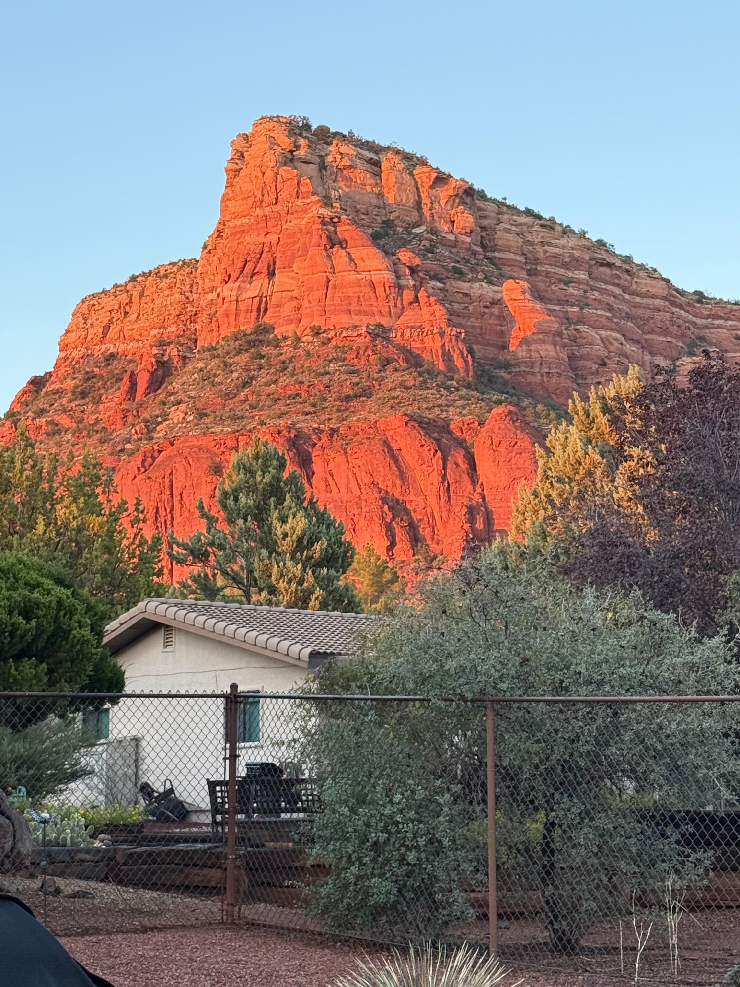 Sitting in the backyard of our home for a while.