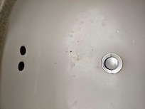 Rust and chips in sink