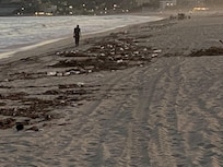 Very dirty beach