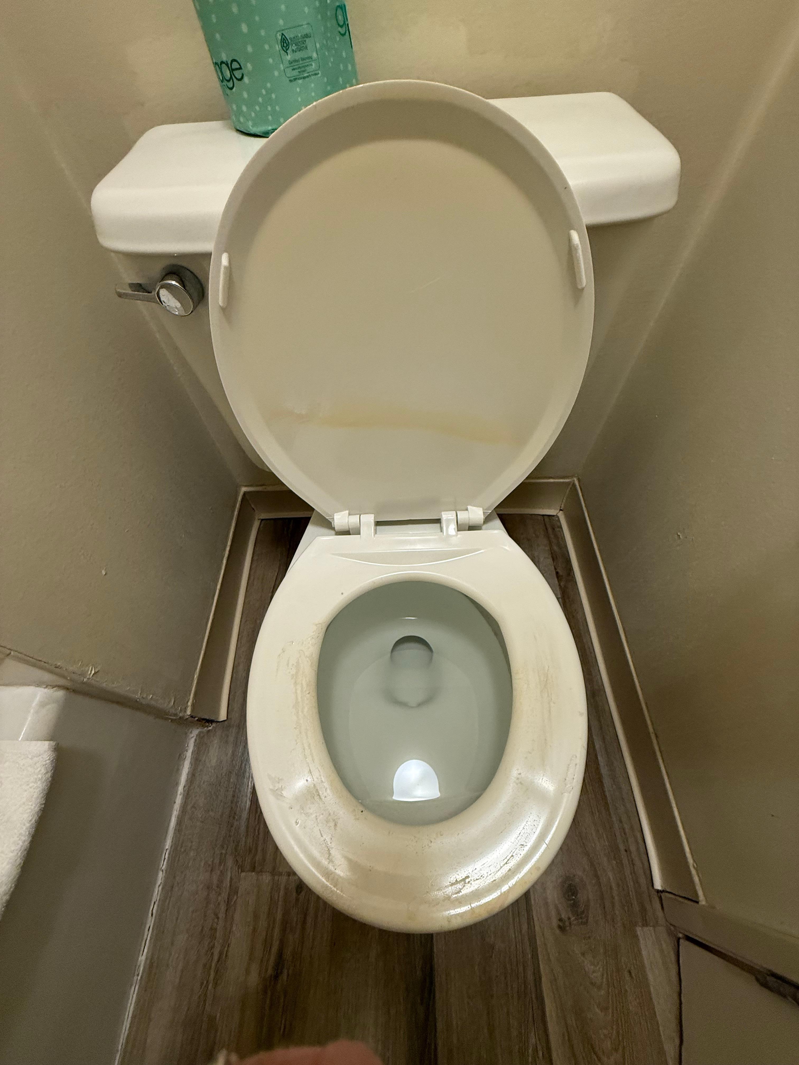 Not sure what happened to the toilet seat but paint didn’t help