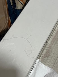 Hair found before anybody had taken a shower.