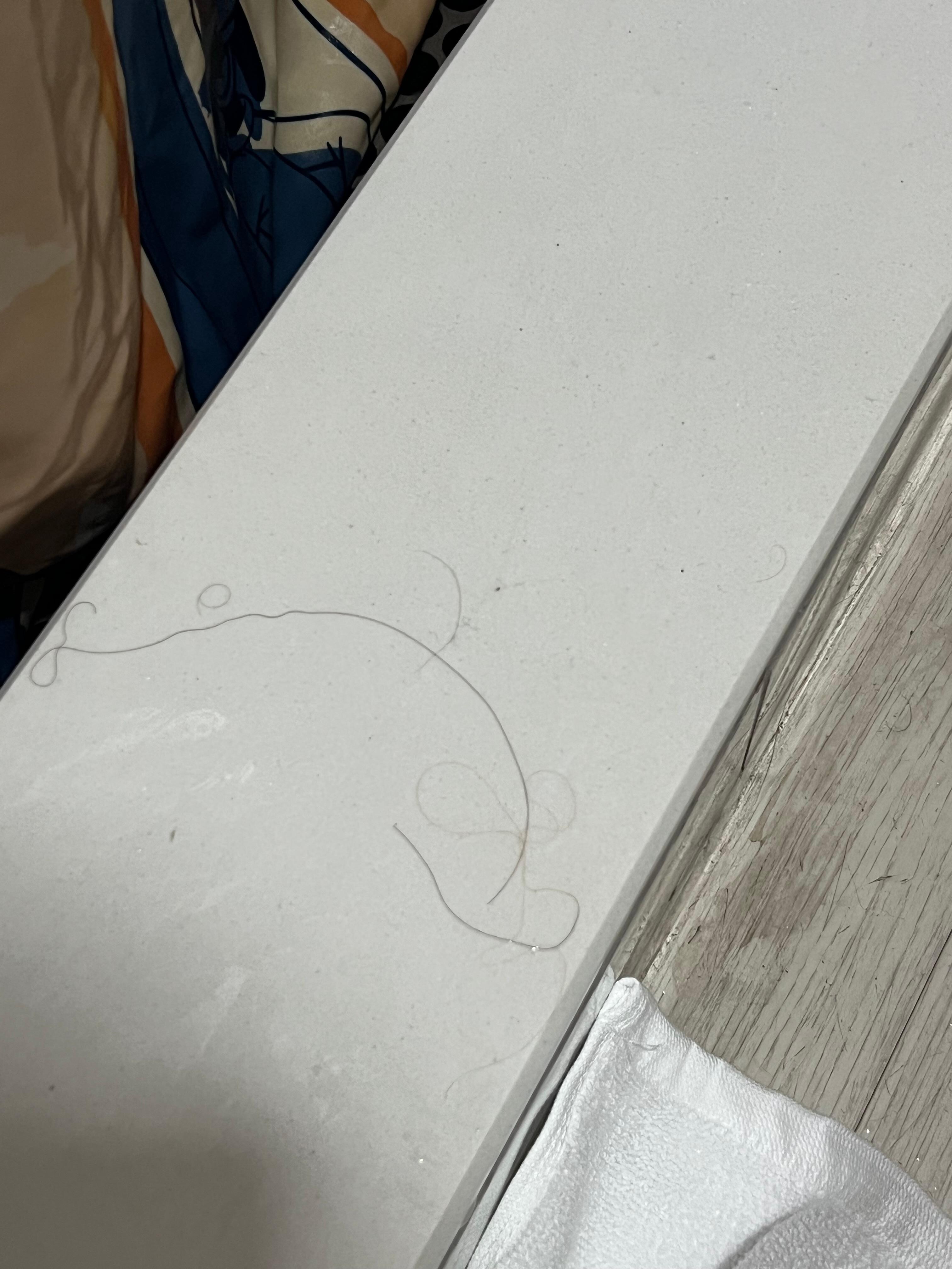 Hair found before anybody had taken a shower. 