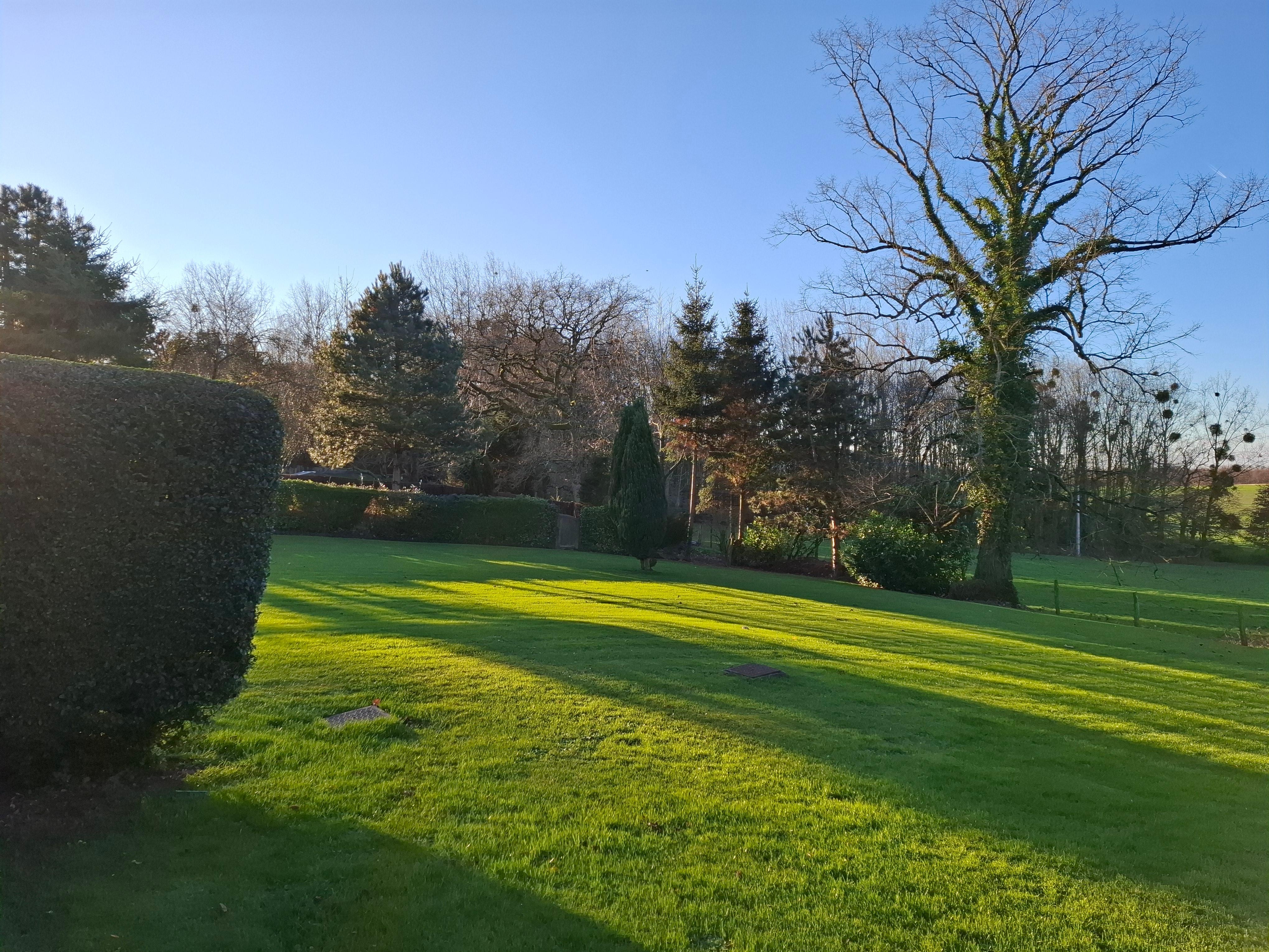 Jardin sous le soleil