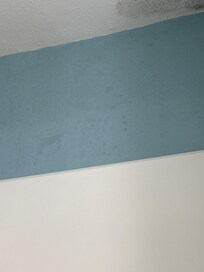 Mold that was painted over in the bathroom.