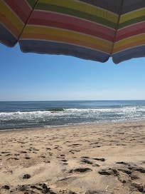 Beach just about 50 yards away