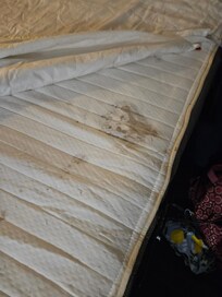 Bio hazardous stains on pull out mattress