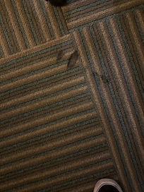 This was the rug