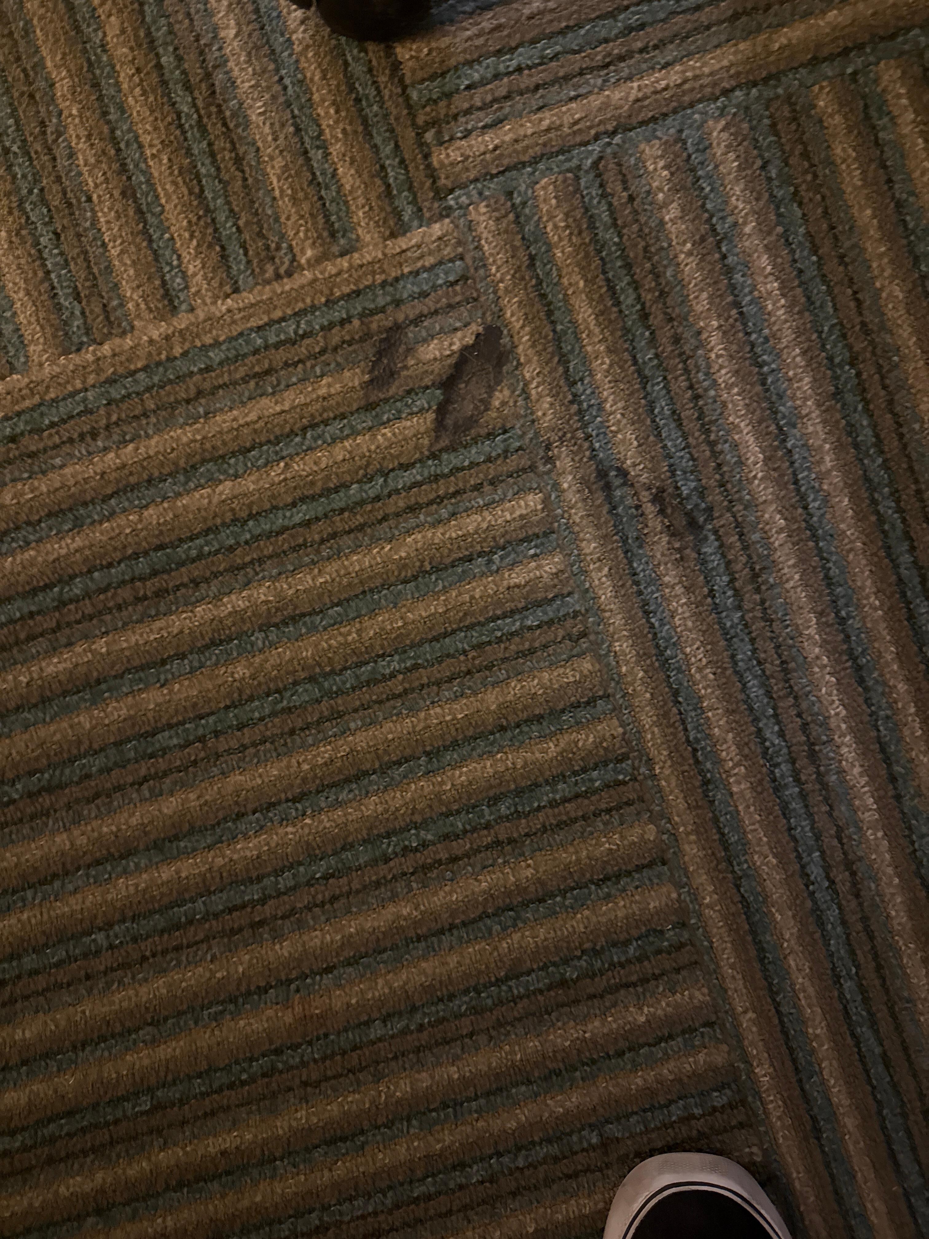 This was the rug 
