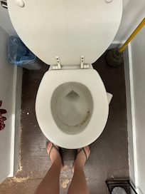 Toilet mold, wood floor in the bathroom