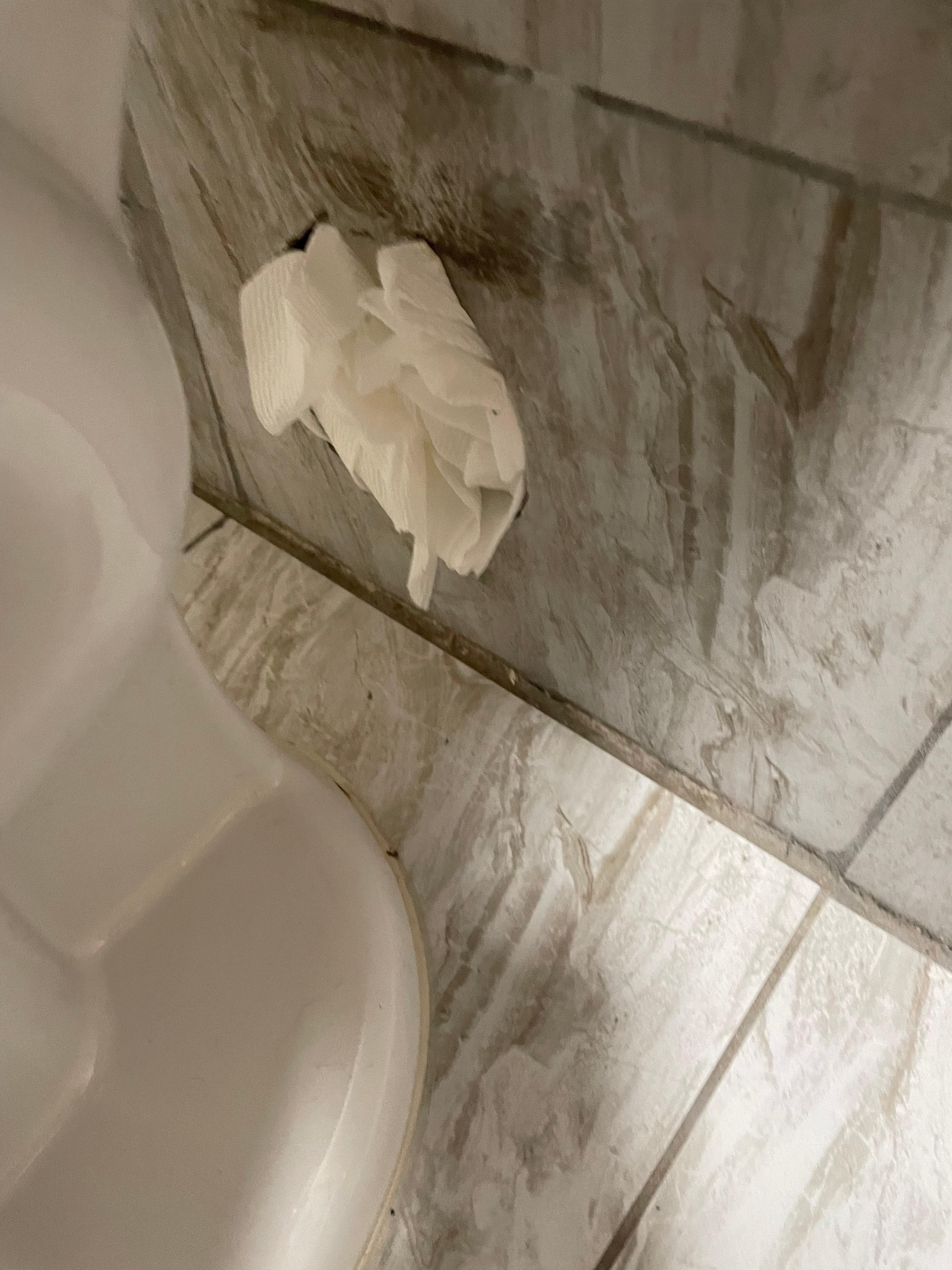 This was how the maintenance/ housekeeping guy fixed holes , by stuffing more toilet paper.