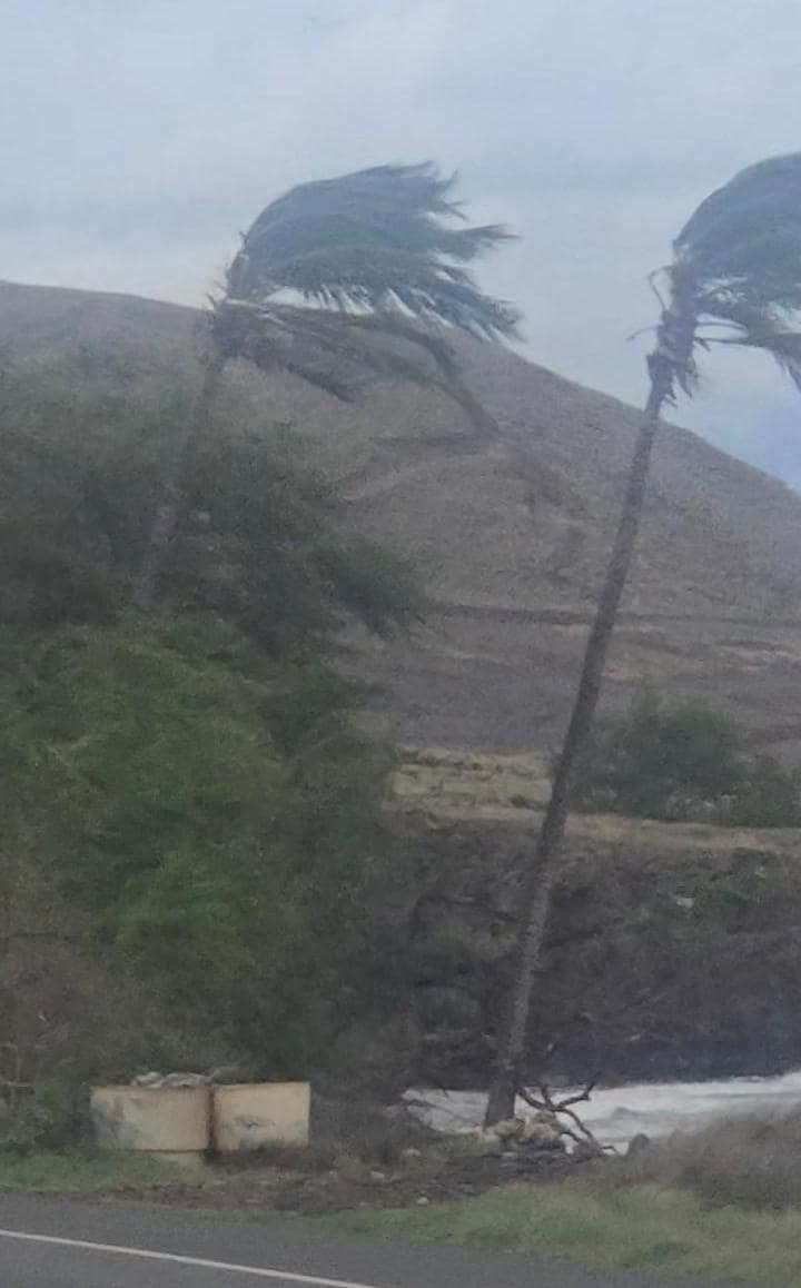 Watching the storm winds from down the road just past Olowalu.