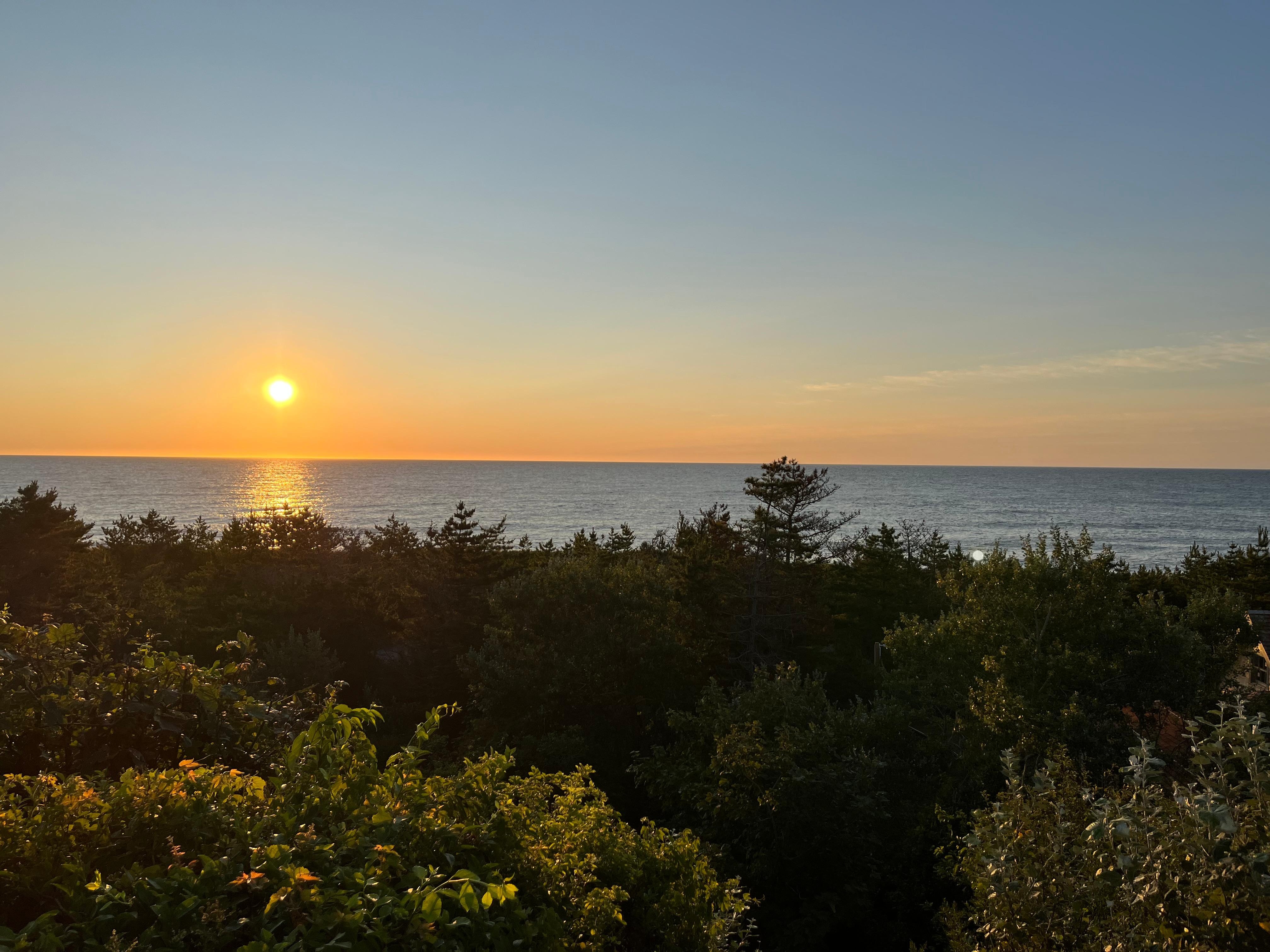 From the edge of the yard before heading down the stairs to the beach