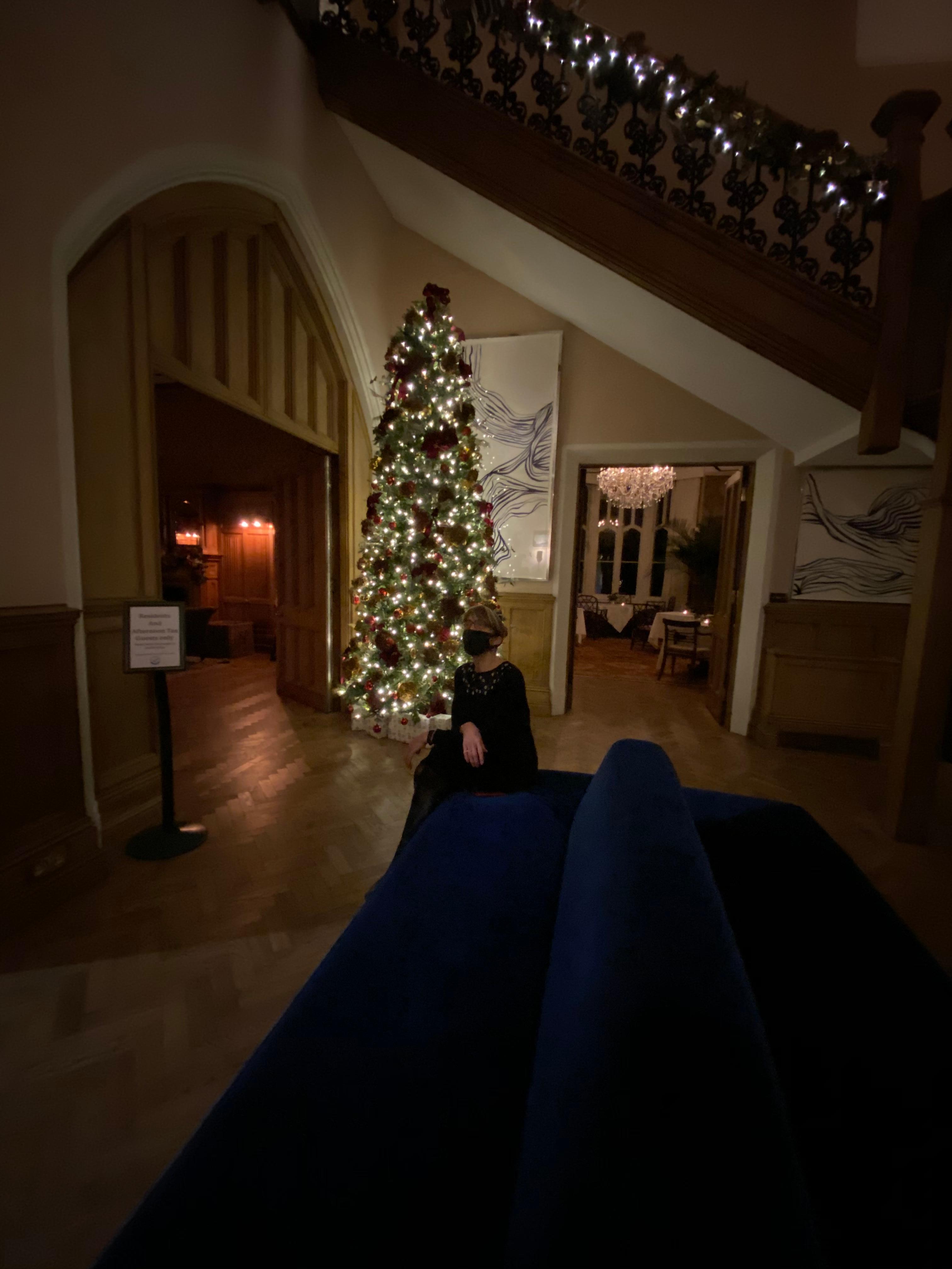 The Christmas Tree in the beautiful entrance hall