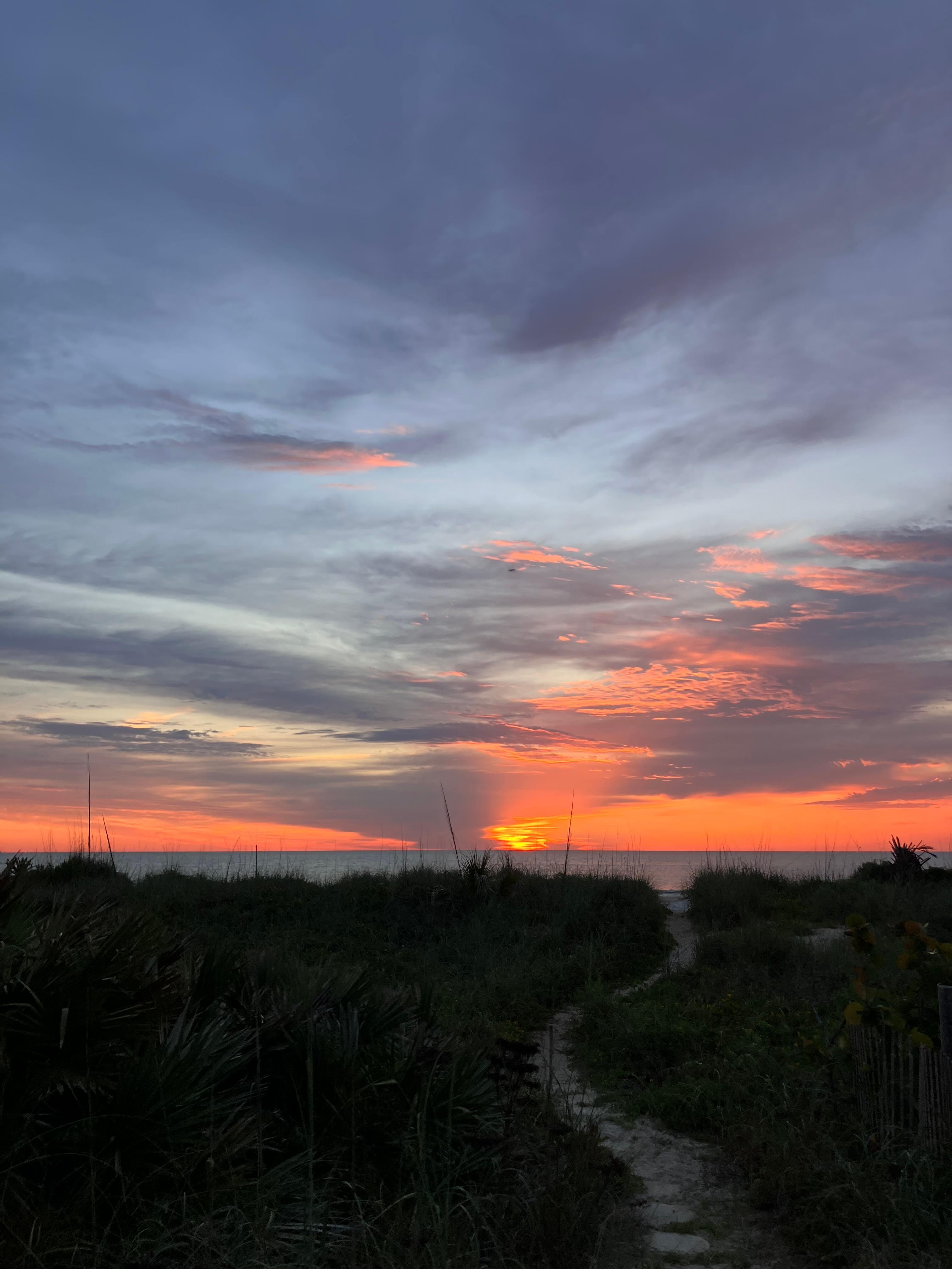 Sunrise from the backyard. 