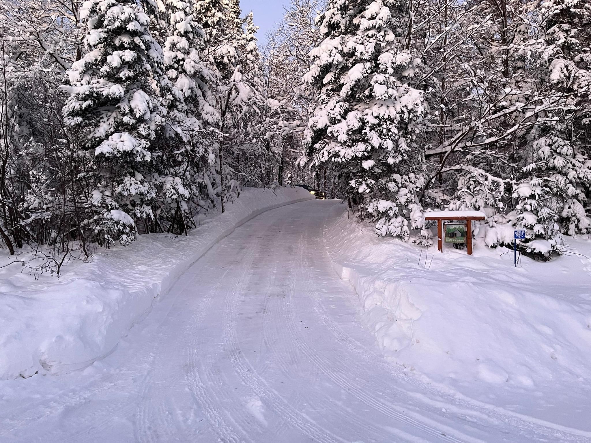 Looking up South driveway entrance into property.
