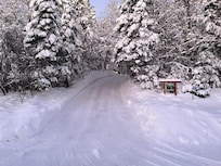 Looking up South driveway entrance into property.