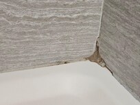 Shower mildew