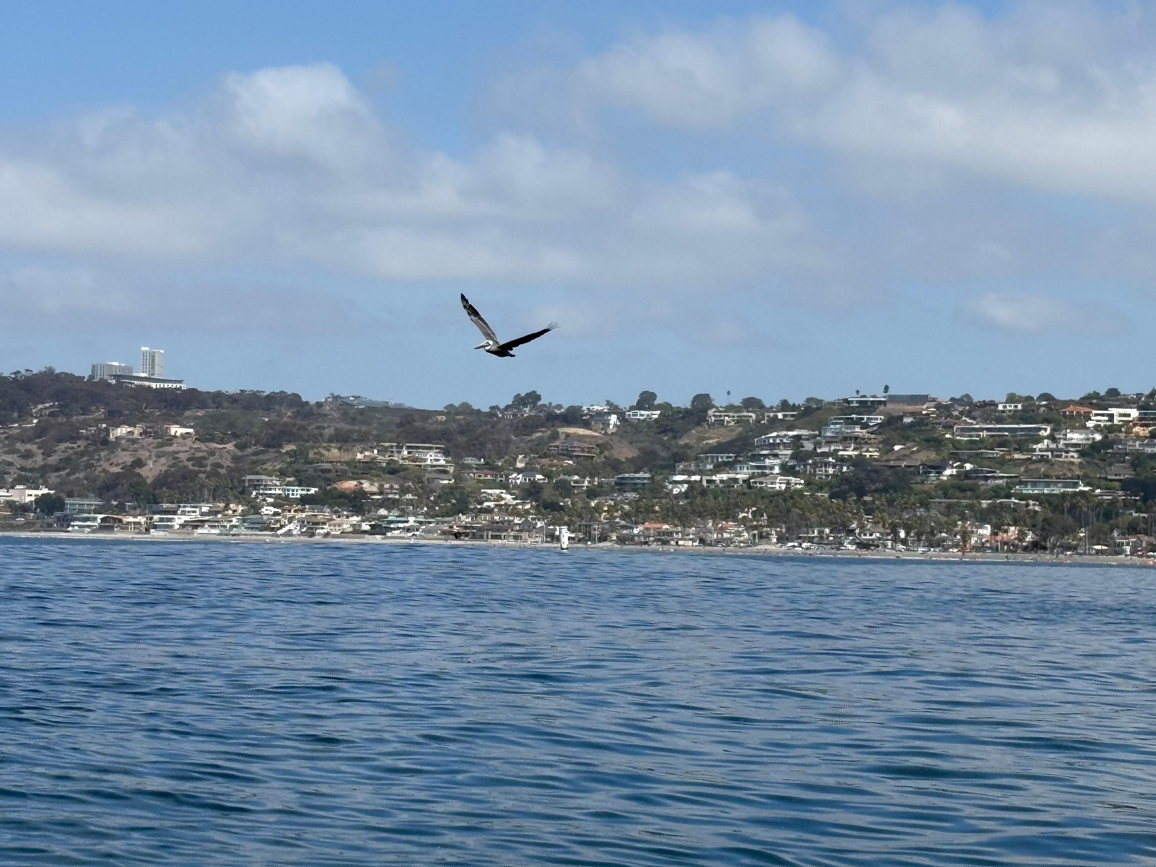 Views from the kayak tour 
