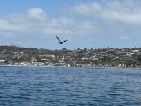 Views from the kayak tour
