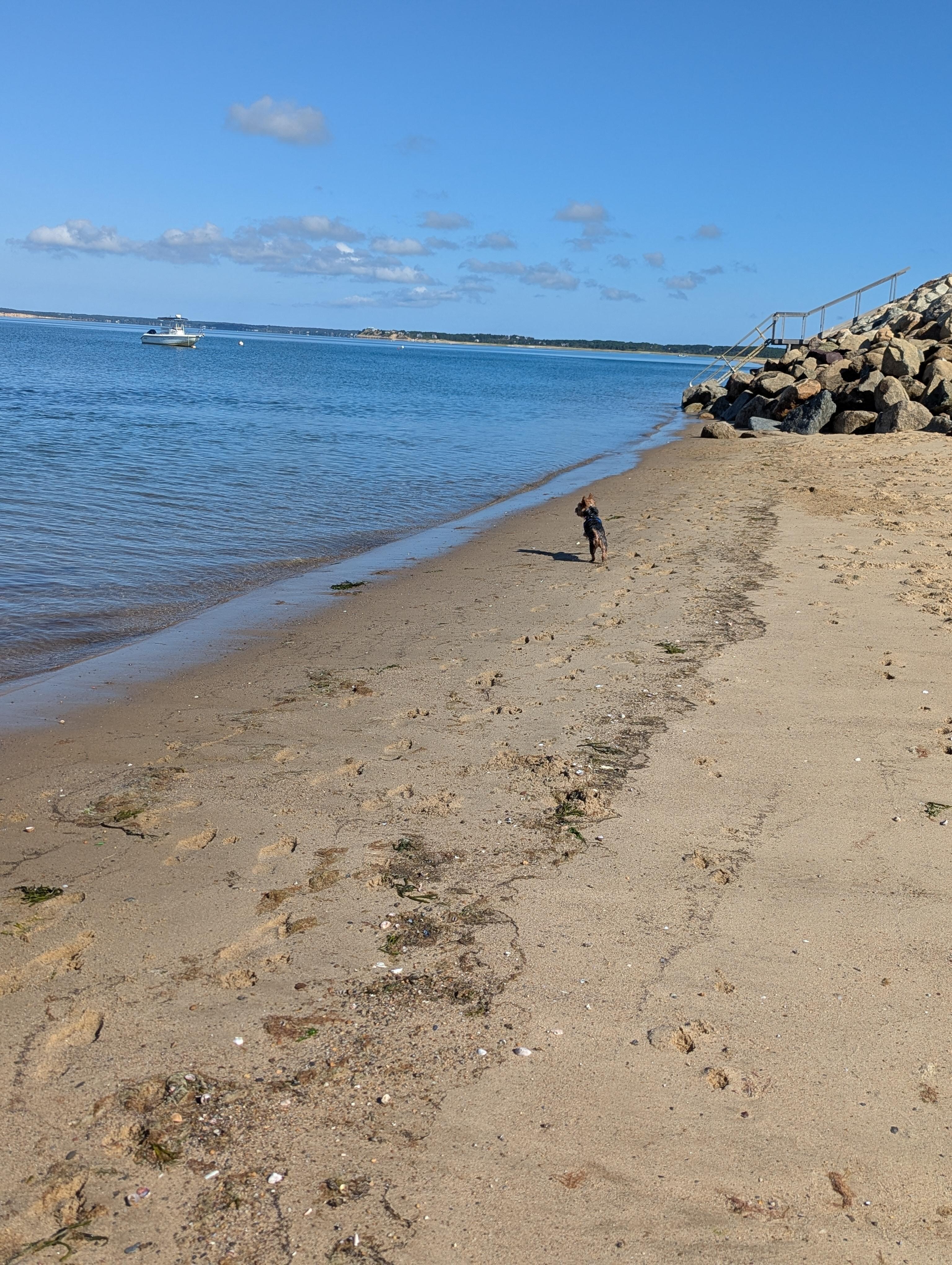 Beach in a minute walk 