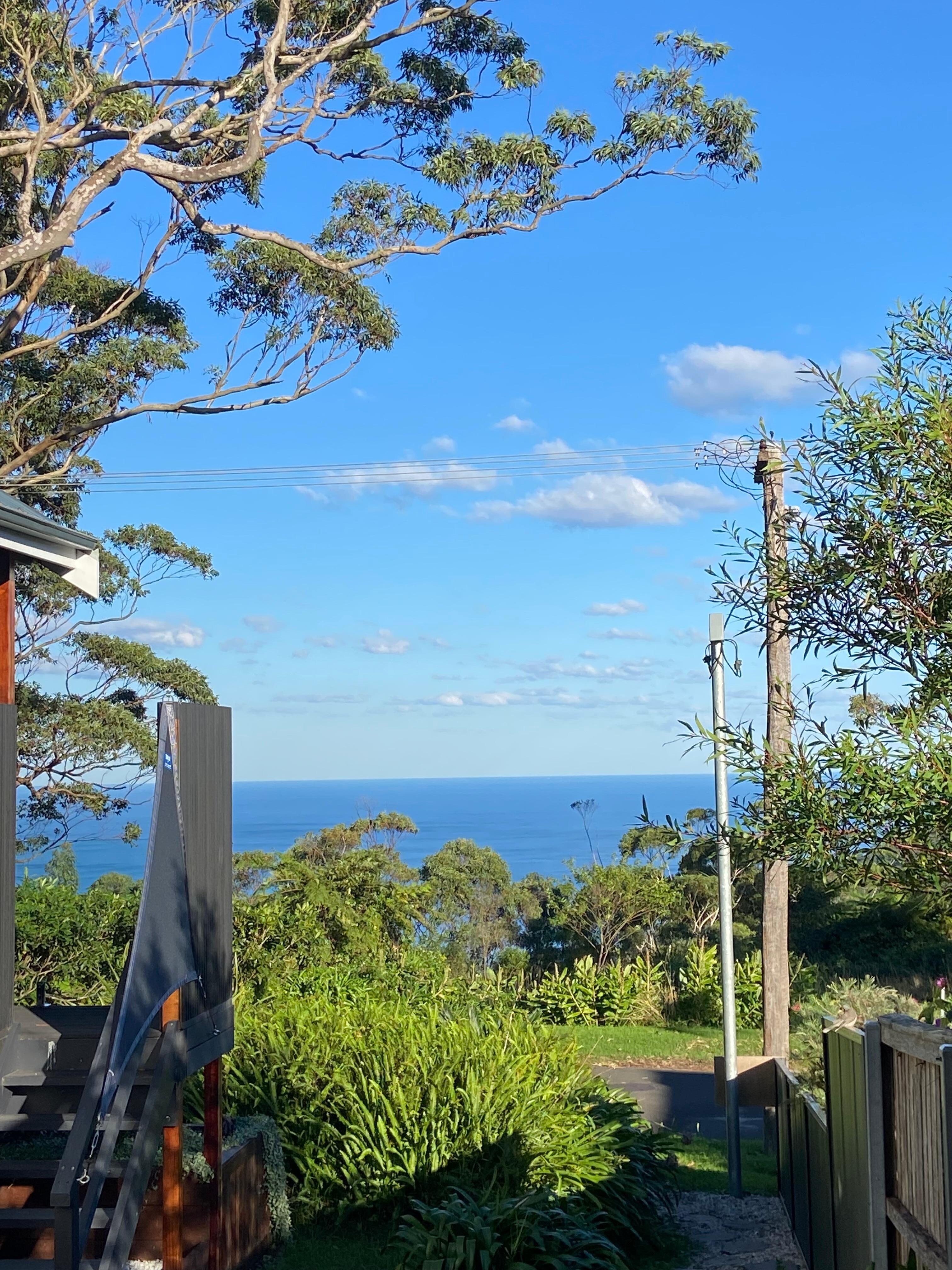 View from the back yard