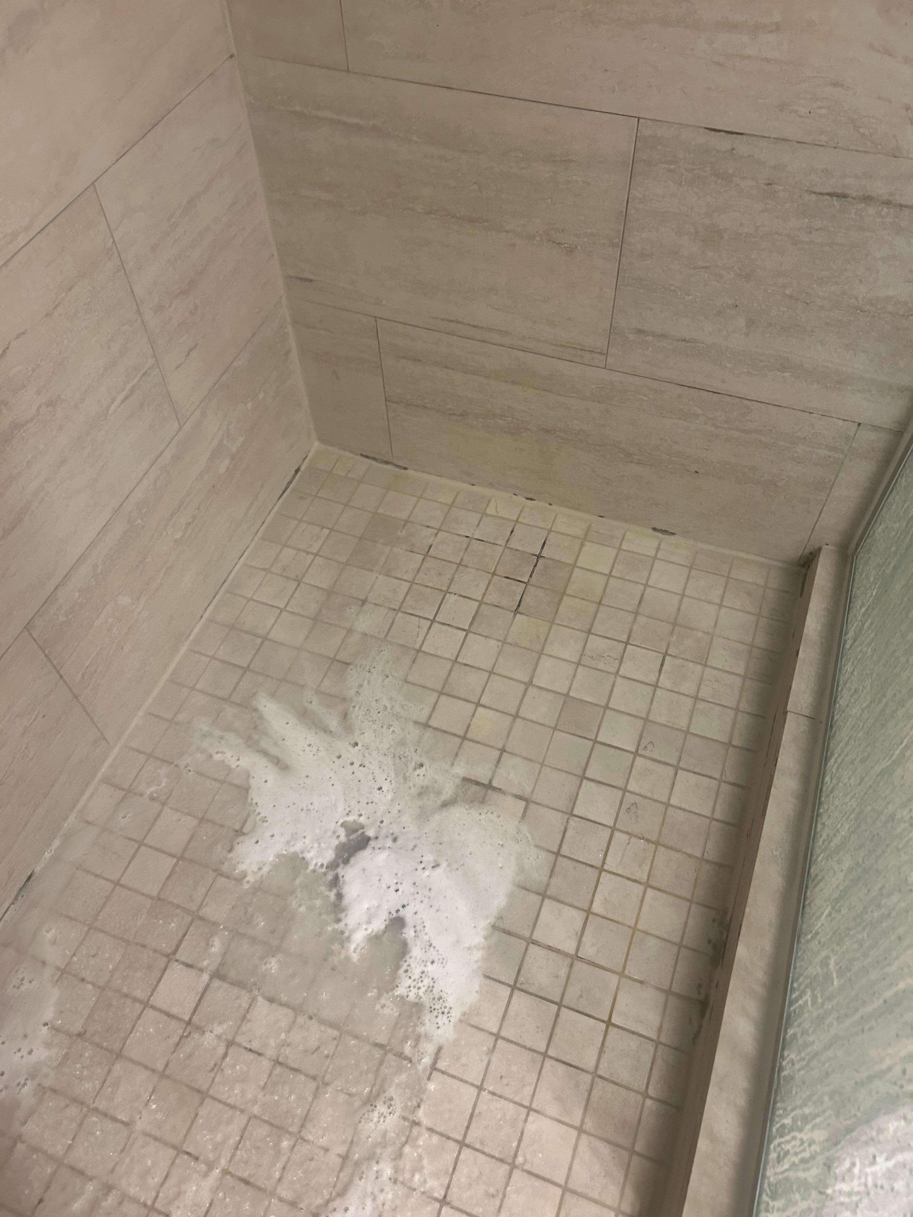 Clogged shower. Hair from all other customers that has not been properly removed 