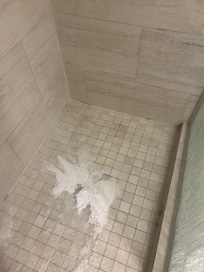 Clogged shower. Hair from all other customers that has not been properly removed