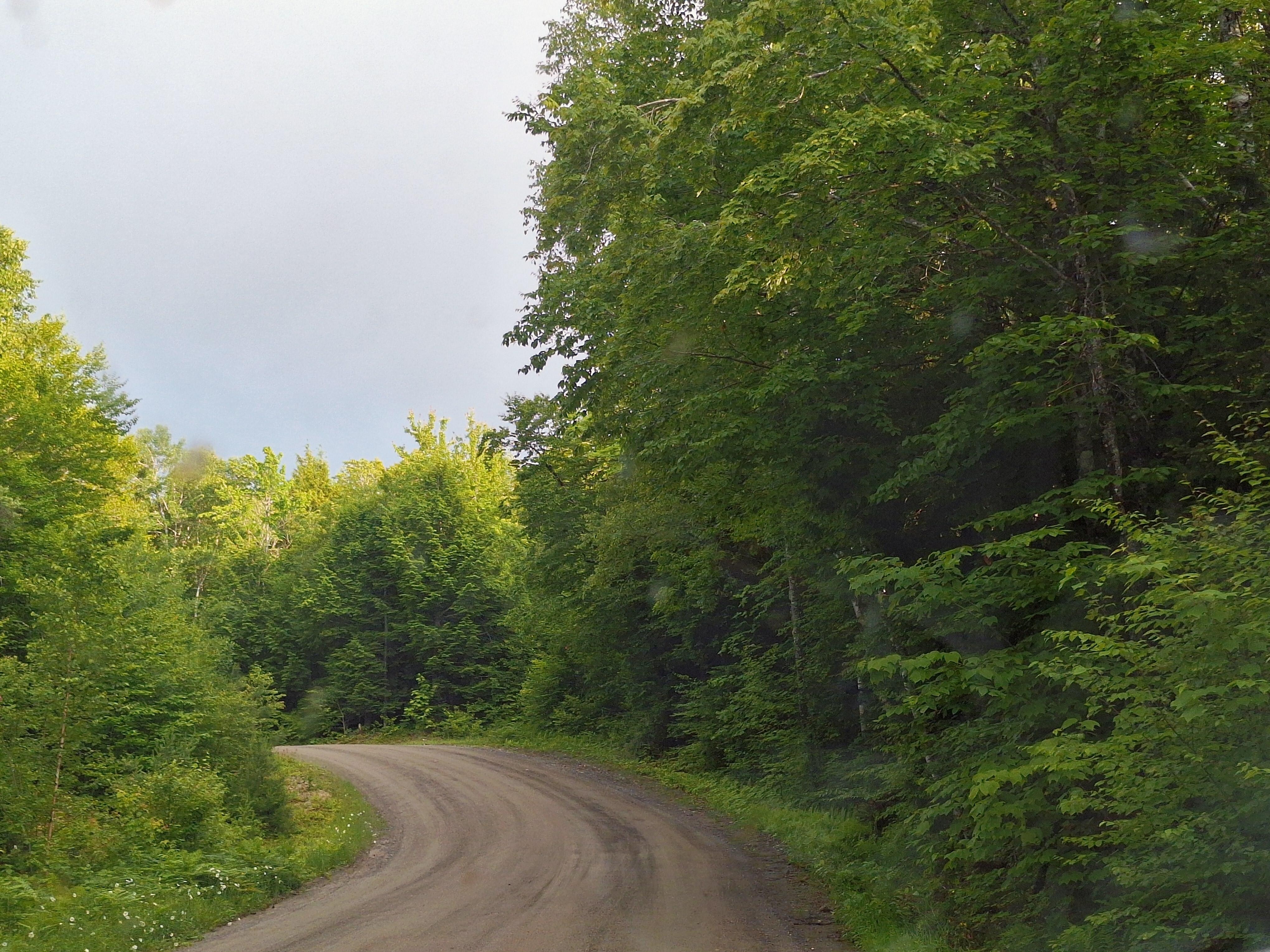 Road to the cabin