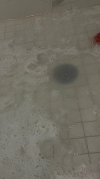 Plumbing issue in the bathroom 1