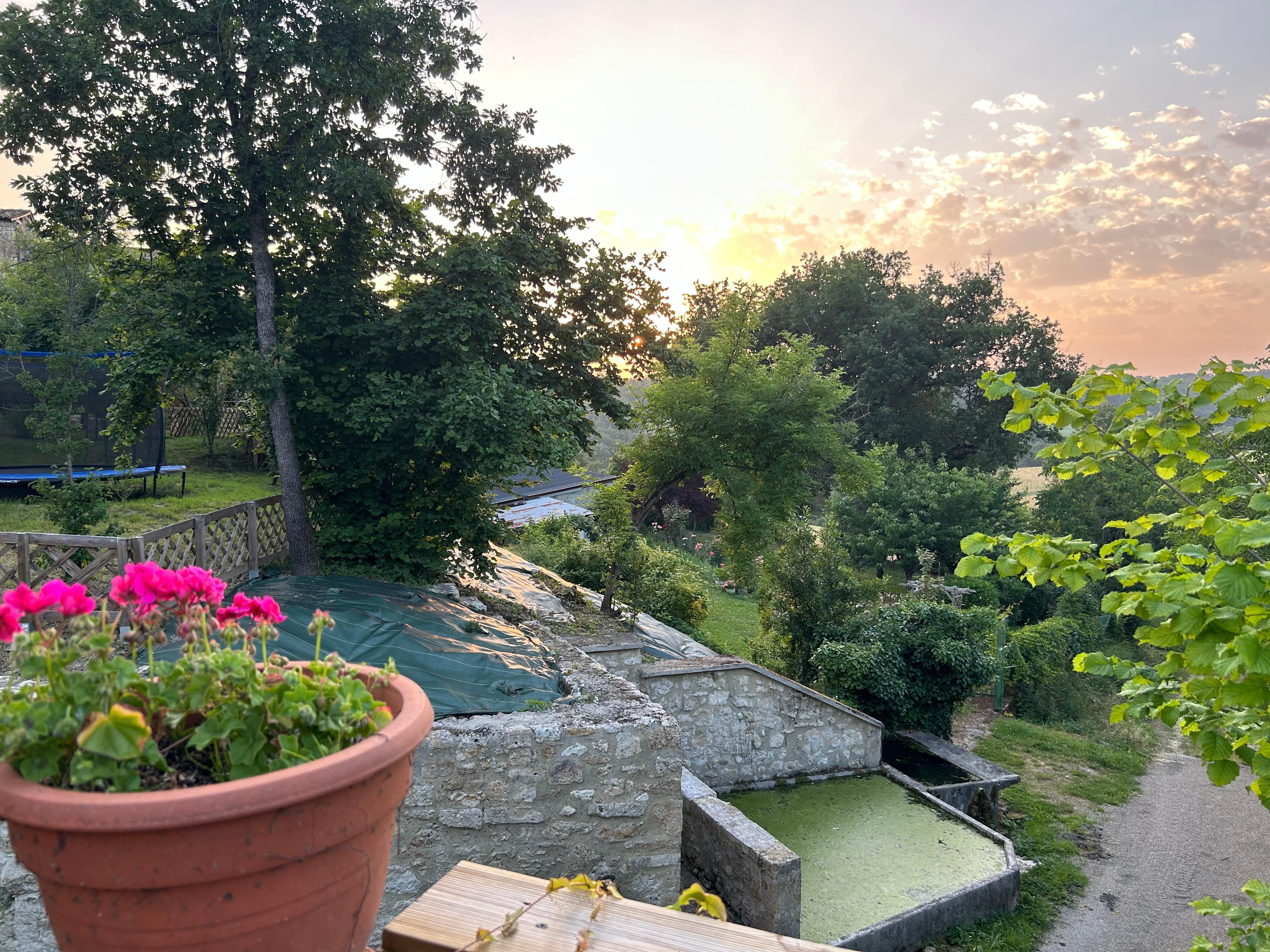 View onto the old lavoir where the frogs serenaded us in the evening.