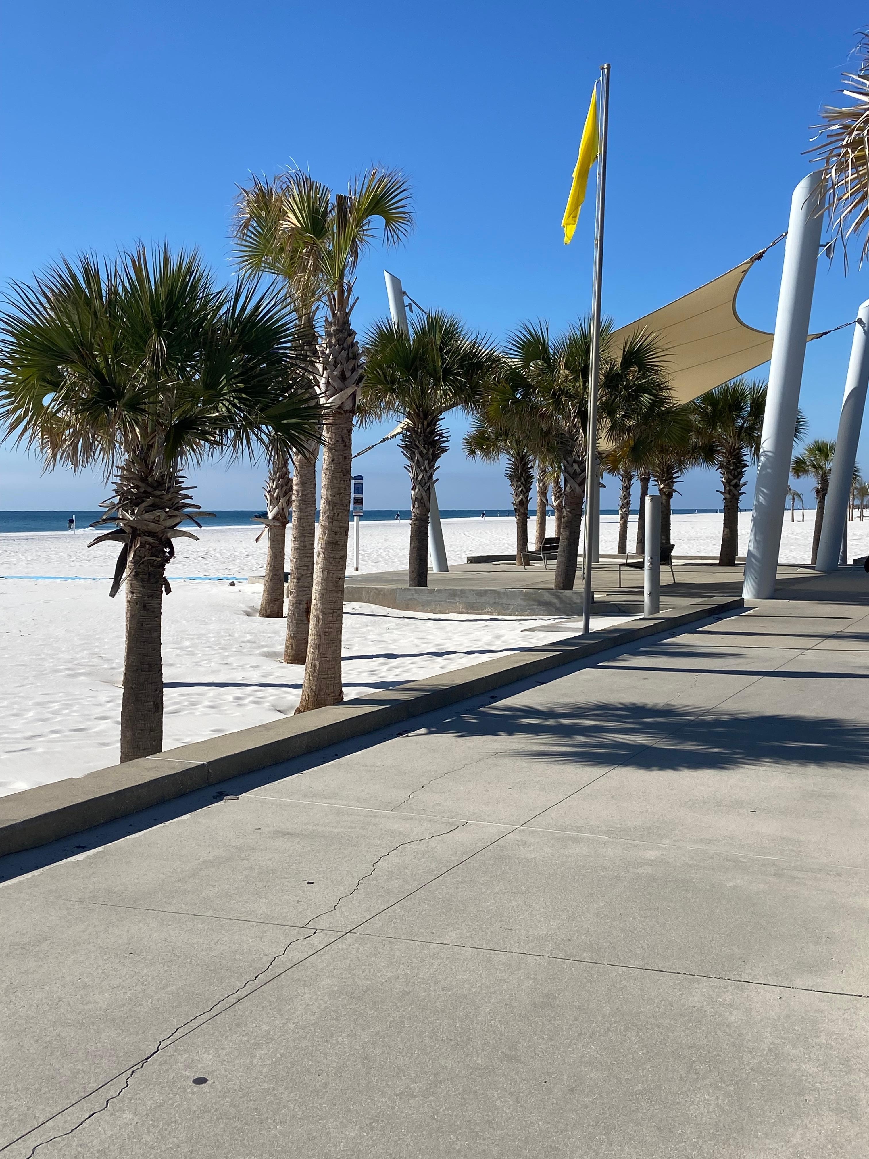 Walking thru the park.